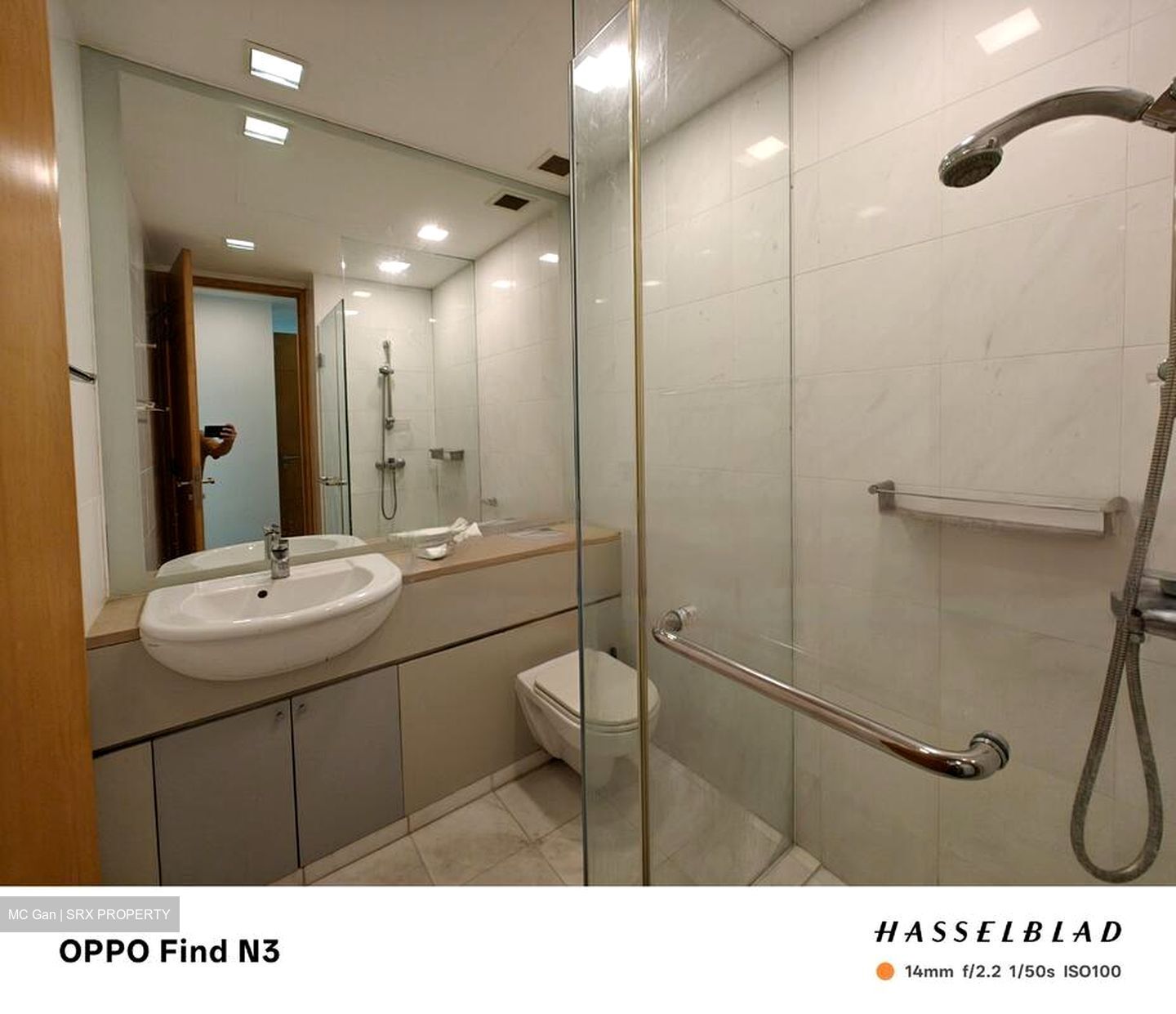 The Light @ Cairnhill (D9), Condominium #462257151